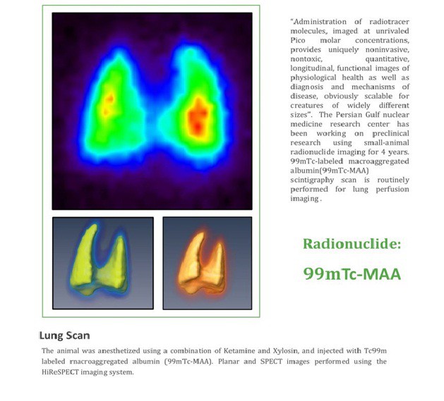 Persian Gulf Nuclear Medicine Academic Institute 3